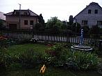 Třibřichy